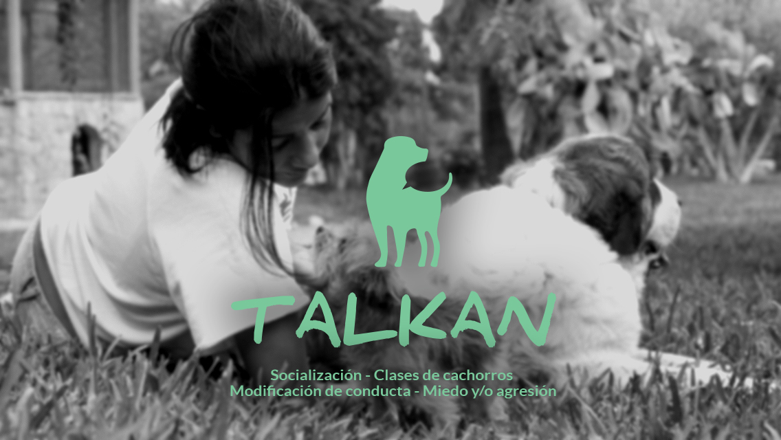 Talkan - Educación canina